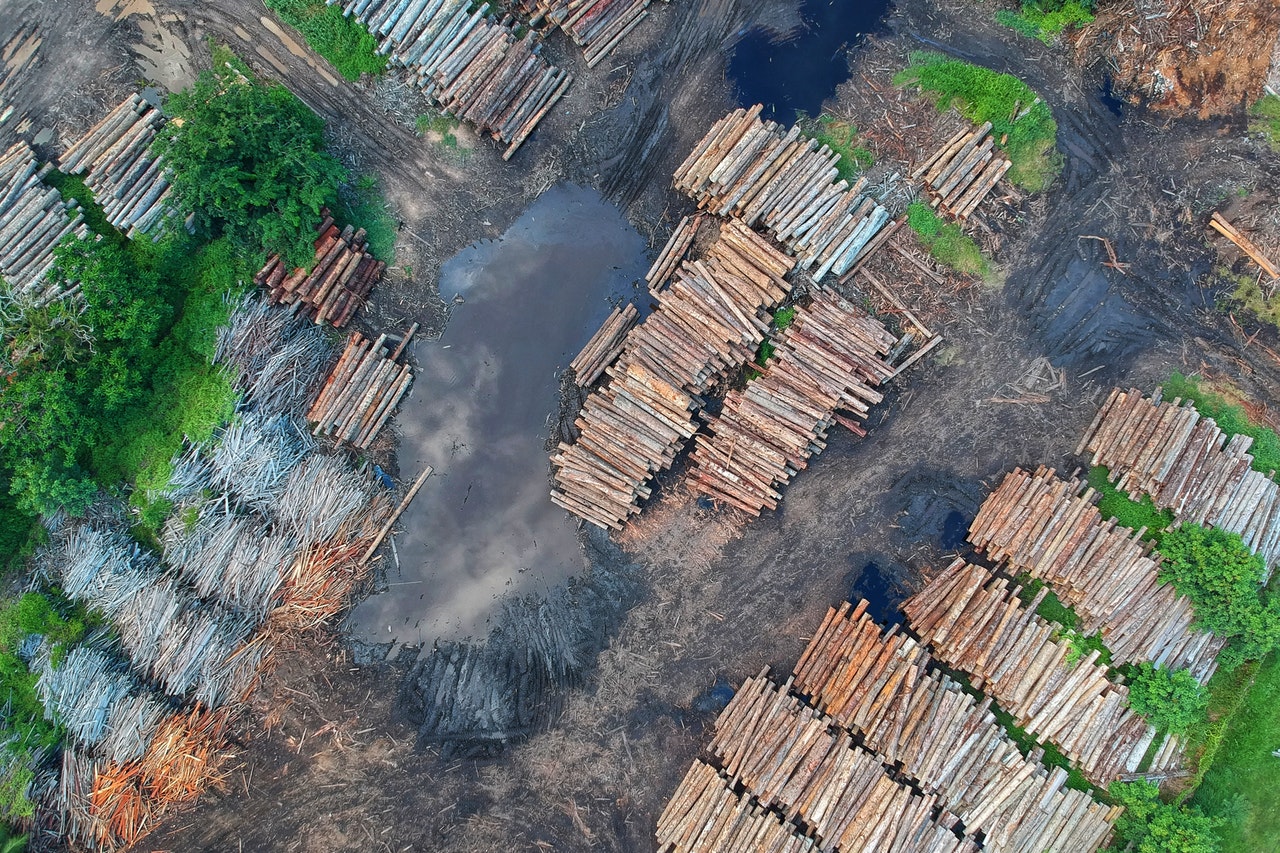 bird-s-eye-view-deforestation-high-1268076